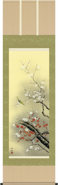掛け軸 / 春 紅白梅に鶯 田村 竹世 尺五立
