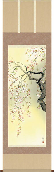 掛け軸 / 春 桜花爛漫 森山 観月