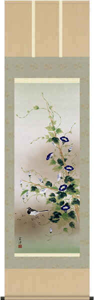 掛け軸 / 夏 四季花鳥 朝顔に鶺鴒 近藤 玄洋
