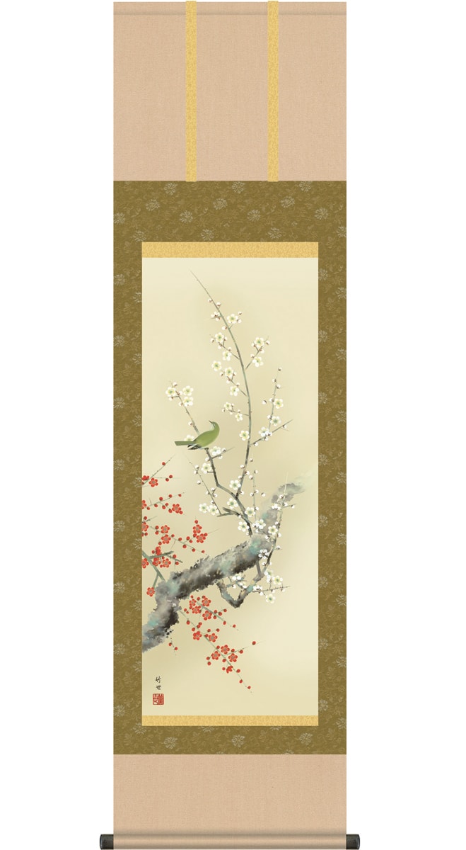 掛け軸 受注生産 / 尺三立 紅白梅に鶯 田村 竹世 花鳥画 季節掛け 冬向け 短い掛軸  納期最短で約１５日程 