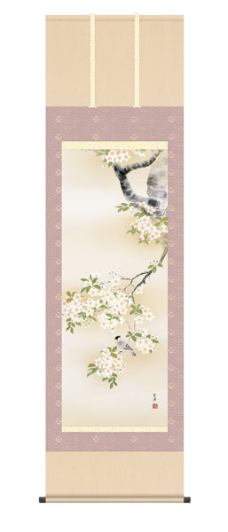掛け軸 / 桜花に小鳥 近藤玄洋 幸洋会 尺五立幅54.5×高さ約190cm 花鳥画 春掛け