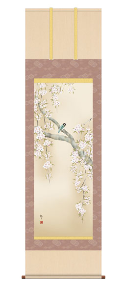 掛け軸 / 桜花に小鳥 森山観月 三美会 尺五立幅54.5×高さ約190cm 花鳥画 春掛け
