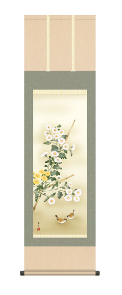 掛け軸 / 吉井 蘭月 曉山会 菊花 尺三立幅44.5×高さ約164cm 花鳥画 秋掛け