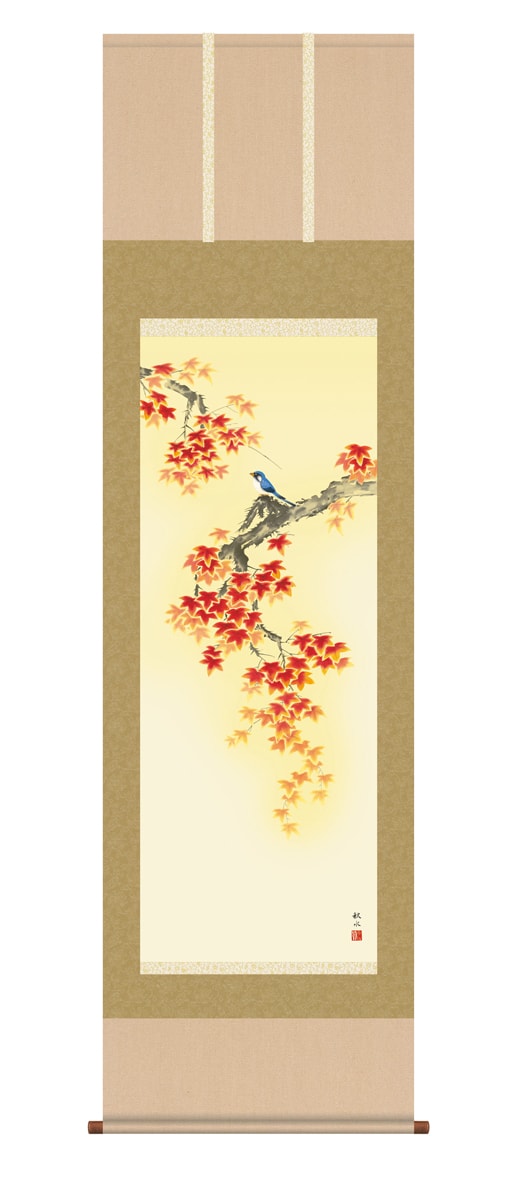 掛け軸 / 花鳥 尺五立 紅葉に小鳥 浮田 秋水 花鳥画 季節掛け 秋向け