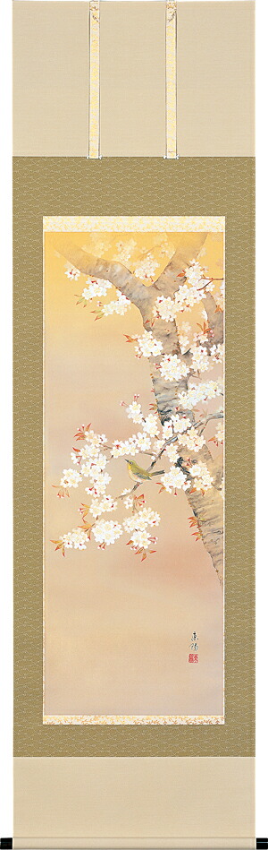 掛け軸 / 桜に小禽 河村 東陽 桜 さくら 花鳥画 小鳥 春用掛軸