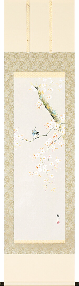 掛け軸 / 桜に小禽 佐藤 桂三 花鳥画 桜 さくら 小鳥 春用掛軸