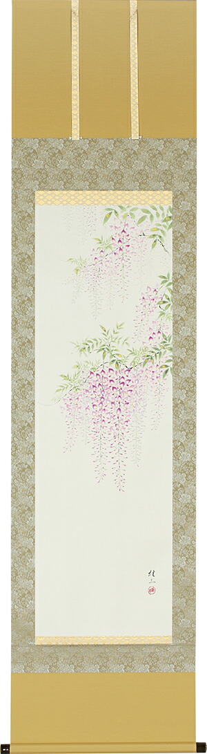 掛け軸 / 藤 佐藤 桂三 花鳥画 ふじ 藤の花 藤棚 春用掛軸