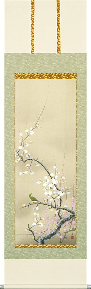 掛け軸 / 紅白梅に鶯 北条 静香 花鳥画 梅 うめ 鶯 うぐいす 小鳥 冬用掛軸