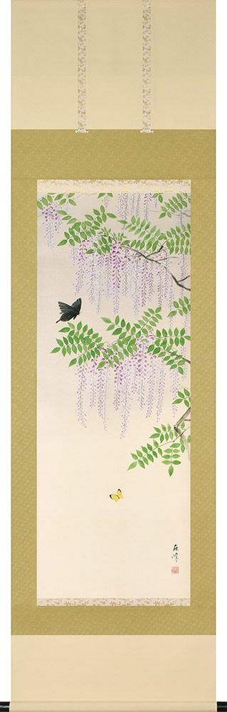 掛け軸 / 藤に蝶 富岡蘇峰 尺五立 54.5×190cm 桐箱収納 春掛け 新築祝 ギフト 贈答品