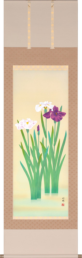 掛け軸 / 菖蒲 北沢利輝 尺五立 54.5×190cm 桐箱収納 花鳥画 端午の節句 夏用掛軸