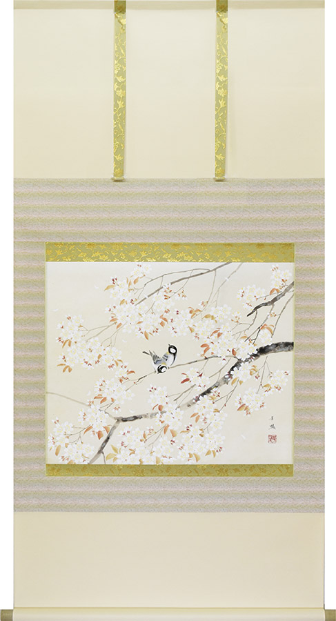 掛け軸 / 桜 出口華凰 尺八横 67×138cm ＜太巻桐箱収納＞ 季節掛け ギフト 贈答品