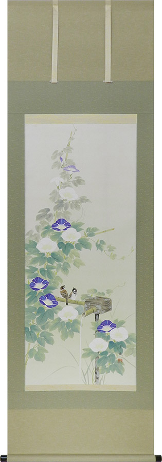 掛け軸 / 朝顔 出口華凰 尺五立 59×190cm ＜太巻桐箱収納＞ 季節掛け ギフト 贈答品