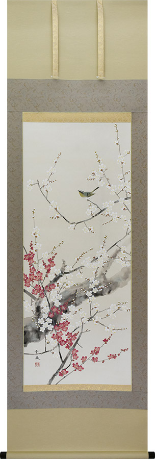 掛け軸 / 紅白梅に鶯 出口華凰 尺五立 59×190cm ＜太巻桐箱収納＞ 季節掛け ギフト 贈答品