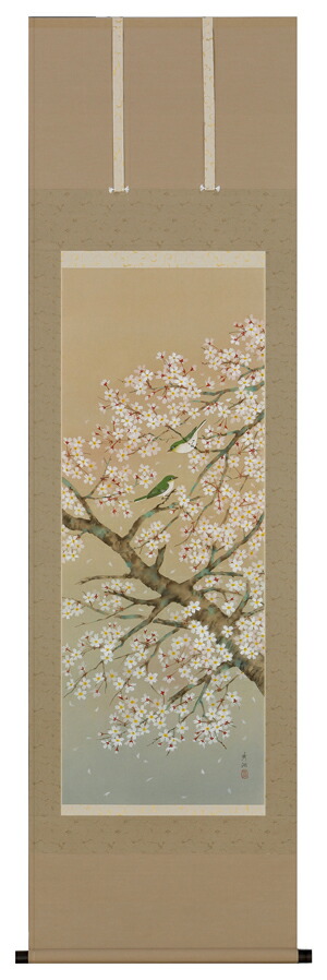 掛け軸 / 桜に小鳥 鈴木 秀湖