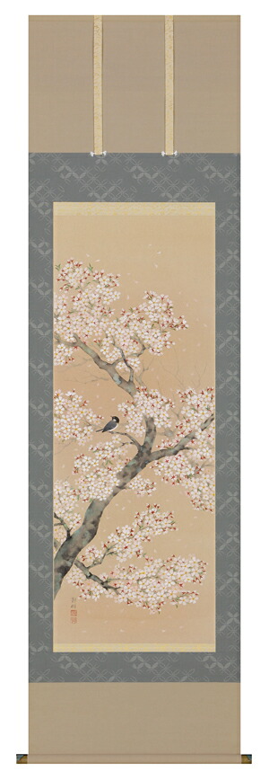 掛け軸 / 桜に小鳥 浅井 新明