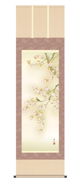 掛け軸 / 桜花に小鳥 緒方葉水 清瀧会 尺五立幅54.5×高さ約190cm 四季花鳥揃