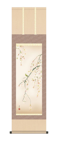 掛け軸 / 西尾 香悦 三美会 桜花 尺三立幅44.5×高さ約164cm 花鳥画 春掛け
