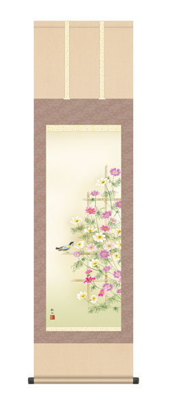 掛け軸 / 浮田 秋水 草夕会 秋桜 尺三立幅44.5×高さ約164cm 花鳥画 秋掛け