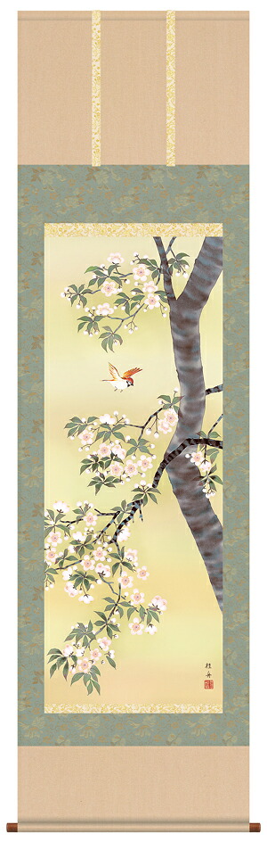 掛け軸 受注生産  / 桜花 長江 桂舟 花鳥画 春向き 季節掛け  納期最短で約１５日程 
