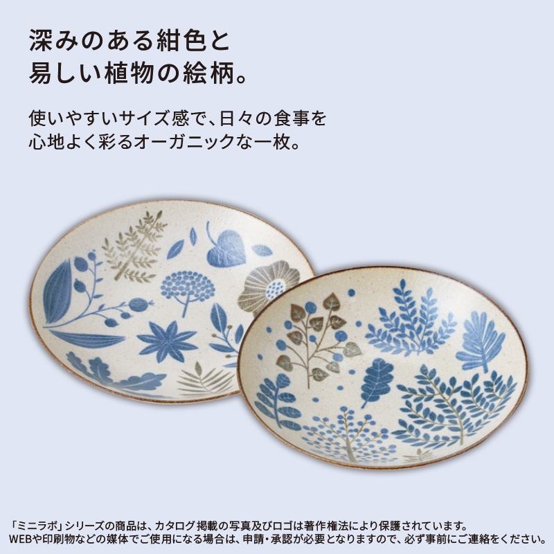 ミニラボ／オーガニックパスタ皿 商品画像1